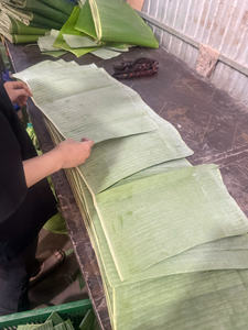 Hoja de Plátano Congelada de Vietnam, Hoja de Plátano Natural Verde Congelada para Envolver Alimentos, Catering, Restaurantes y Exportación a Granel - Product Image 5