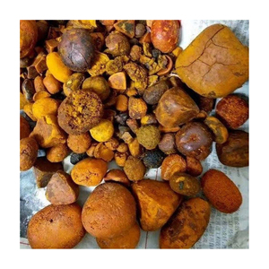 Cápsulas de cálculos biliares de ganado bovino de alta calidad, a granel, directo de fábrica, piedra natural seca, bajo peso específico, NMF (PTY) LTD Food - Product Image 6