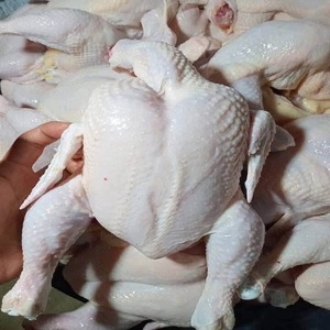 Pollo Congelado Naturalmente Sabroso para Comidas Familiares, Restaurantes, Servicios de Catering y Cocinas que Buscan Carne de Calidad y Conveniente - Product Image 3