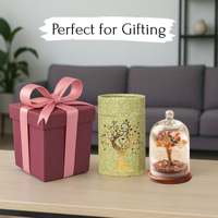 Arbre de Vie en Cristal Naturel avec Dôme d'Amour, Boîte Premium, Bonsaï, Arbre à Argent Feng Shui, Guérison des Chakras, Décoration d'Intérieur, Cadeau
