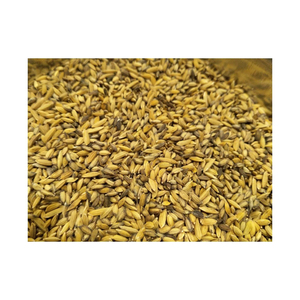 Graines de canaris pures en vrac, disponibles en gros à des prix abordables - Product Image 4