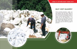 Poudre GCC enduite de qualité supérieure pour masterbatch de remplissage à haute capacité de charge - Product Image 3