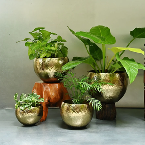 Brass Decorative Planter Pot Indoor <b>Desk</b> Planter Pot Gold Plated Metal Succulent Planters Circular Indoor Desktop Flower Pot - Product Image 4