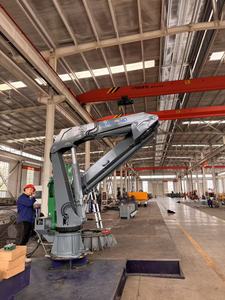 رافعة بحرية ثقيلة بحمولة 40 طن وارتفاع رفع عالي يصل إلى 25 متر للناقلات السائبة - Product Image 3