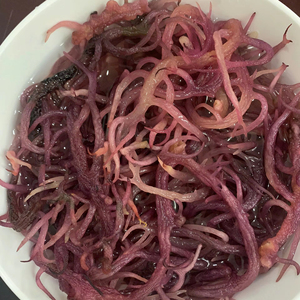Vietnam High Quality Seamoss 2026 Bulk Supply Cheap Wholesale Price - Product Image 1