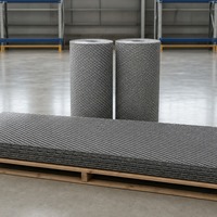 [APEC] Treillis métallique galvanisé pour le support de plâtre de plafond et les projets de rénovation de bâtiments commerciaux