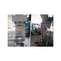 Machine d'emballage semi-automatique de qualité supérieure série TBM-SB00 pour l'emballage de l'ail, des carottes, des pommes de terre en sacs de papier de 10 kg, 20 kg, 25 kg, 40 kg, 50 kg - Nouveau modèle