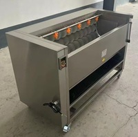 Commerciële automatische aardappel schilmachine, wortelgroentewasmachine, groentewasbak met waterklepbediening