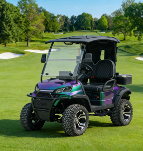Voiturette de golf électrique et véhicule de chasse personnalisable à 2 places avec châssis semi-aluminium, autonomie de 95 km, système 48V - Product Image 4