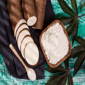High Quality Bulk Quantity Cassava <b>Starch</b> Fast Delivery Best Price Wholesale Sale Packed in Bag - Product Image 4
