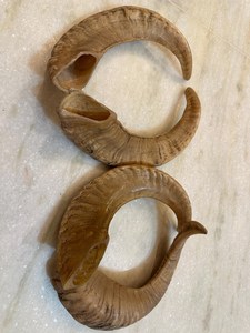 Shofar de cuerno de carnero Kudu, shofar de cuerno de carnero pulido, shofar artesanal natural, instrumento shofar de cuerno de carnero, shofar de cuerno de Kudu judío - Product Image 2