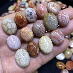 ขายส่งพลอยปะการังโบราณคุณภาพสูงธรรมชาติ  แบบคาโบชอง สำหรับทำเครื่องประดับ - Product Image 4