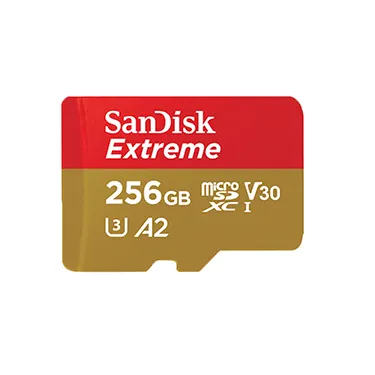 SDSQXAV-256G Micro Secure Digital Card For SDXC V30 256GB R190/W130