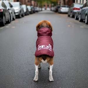 Impermeabile per Cani, Giacca Spessa e Calda per Animali Domestici, Protezione Completa Contro Freddo e Pioggia - Product Image 3