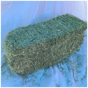 Heno de alfalfa para alimentación animal / Pellets de heno de alfalfa / Heno de Timothy en pacas - Product Image 4