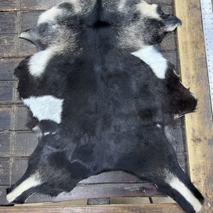 Alfombra de piel de vaca auténtica, tapete de cuero natural para decoración de interiores modernos - Product Image 2