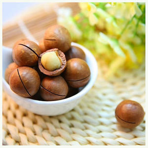 Nueces de Macadamia Crudas del Reino Unido en Bolsas, las Más Vendidas, Crudas y Tostadas para Consumo Humano, Núcleo de Nuez de Macadamia - Product Image 1