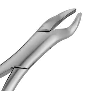 Pinzas de Extracción Dental 53L para Molares Superiores Izquierdos (1º y 2º), Agarre Tipo Pitón Hueco Dorado, Herramientas Quirúrgicas Manuales de Acero Inoxidable - Product Image 5