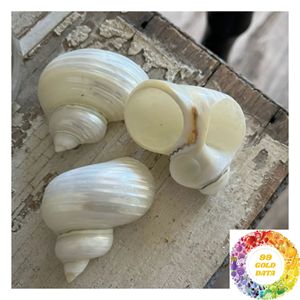 Anneau de serviette en coquillage naturel avec accent en nacre irisée pour les décorations de table de mariage côtier et la décoration de dîner - Product Image 3