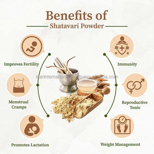 ผงสารสกัดจากรากชาตะวารีบริสุทธิ์ 100% แบรนด์ส่วนตัว (Private Label)  ผงชาตะวารีเกรดอาหาร บรรจุภัณฑ์ขนาดใหญ่จากอินเดีย - Product Image 3