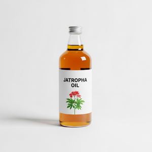 Aceite de Jatropha Refinado de Calidad de Exportación Producido con Refinación Avanzada para la Demanda Industrial a Largo Plazo - Product Image 6