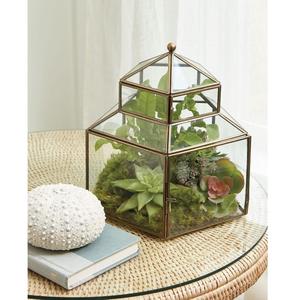 Terrarium en verre borosilicate géométrique, mini décoration artistique, serre intérieure écologique, pot de fleurs de table pour plantes succulentes, pour la maison - Product Image 5