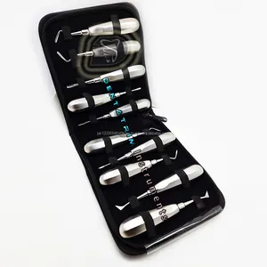 10-Piece Set of Custom Logo Dental Root Elevators Stainless Steel Instruments with Case CE Certified Model DT-DI-1543