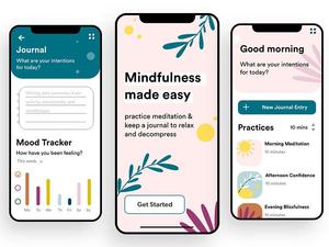 Application mobile professionnelle de journal d'humeur avec analyse des émotions, enregistrements quotidiens et service de développement d'applications Android et iOS - Product Image 4