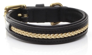 Premium Leather Dog <b>Collar</b> for Modern Pet Lifestyle Brands for Professional Pet Brands from Divine International - Product Image 2