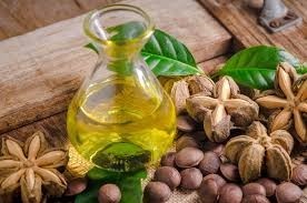 Aceite de Sacha Inchi Orgánico de Vietnam |   Aceite de Cocina 100% Puro a Base de Plantas en Envase de Tambor para Suministro a Granel - Product Image 2