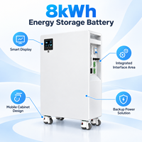 Générateur solaire LiFePO4 8 kWh avec onduleur à onde sinusoïdale pure, contrôleur MPPT, sortie continue 4000 W, station d'alimentation portable 11000+