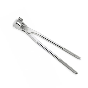 Forceps d'extraction moléaire professionnels à mâchoires dentées en acier inoxydable, instruments chirurgicaux dentaires pour l'extraction des racines des dents de sagesse, CE ISO - Product Image 4