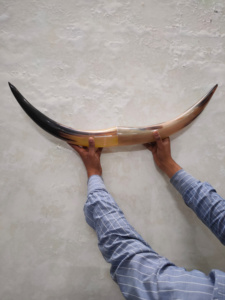 Cuerno de toro artesanal hecho a mano cuerno de vaca decoración de pared montado en la pared de la decoración del hogar India para la venta a granel - Product Image 2