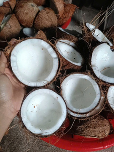 Aceite de Coco 100% Puro y Natural, Prensado en Frío, para el Cuidado de la Piel, a Precio Competitivo - Product Image 6