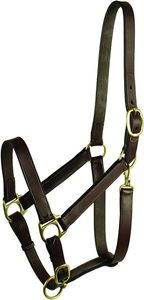 Licol de cheval en cuir véritable durable avec sangle réglable, boucles métalliques robustes argentées et coutures renforcées pour - Product Image 4