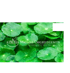 อาหารเสริมสมุนไพรธรรมชาติจาก Gotu Kola - Product Image 1