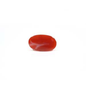 Natural Japanese Red Coral Oval Cut 3.9 Carat Loose Gemstone for Fine Jewelry - Product Image 2