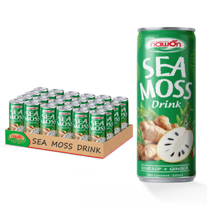 Tónico Premium para el Bienestar, Bebida Funcional de Guanábana, Jengibre y Musgo Marino, Venta al por Mayor, a Base de Plantas, Apoyo Digestivo, OEM - Product Image 1
