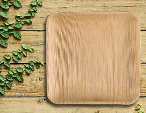 Assiettes durables carrées de 8 pouces en feuille de palmier pour le service alimentaire, idéales pour les restaurants, les hôtels et les fêtes d'anniversaire en 2026 - Product Image 1