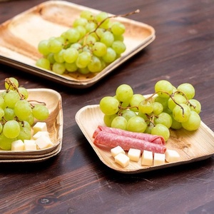 Eco-Friendly 8 Inch Square Areca Palm Leaf <b>Plates</b> for Snacks and Party Serving <b>Plates</b> Festivals and Family Gatherings Pack of 25 - Product Image 1