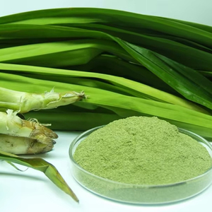 Poudre de Pandan Lyophilisée la Plus Vendue - Extrait Fin à Haute Solubilité pour Boissons Instantanées et Confiseries - Product Image 1