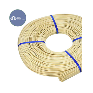 [VENTE CHAUDE] |   Diffuseur de parfum artisanal en rotin, bâtonnets parfumés, conteneur d'arôme, décoration d'intérieur, articles en gros du Vietnam - Product Image 1