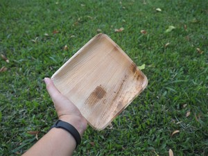 Ensemble d'assiettes jetables en feuilles de palmier carrées - Écologiques, biodégradables, compostables, résistantes au congélateur et au lave-vaisselle, pour les fêtes - Product Image 6