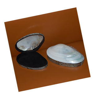 กล่องเปลือกหอยสีขาวสำหรับงานศิลปะ งานฝีมือ รูปทรงธรรมชาติมาตรฐาน กล่องใส่เครื่องประดับเปลือกหอยลายธรรมชาติสำหรับงานฝีมือและงานศิลปะ - Product Image 2