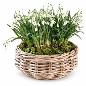 Jardinière et porte-plantes en rotin moderne, écologique et fait main du Vietnam pour la maison et le jardin - Product Image 1