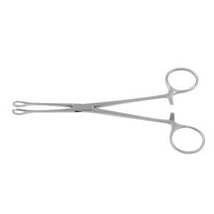Pince de Williams pour l'intestin, 16,5 cm, à fenêtre, en acier inoxydable allemand 420, modèle chirurgical XS-ATF-01, certifiée CE - Product Image 1