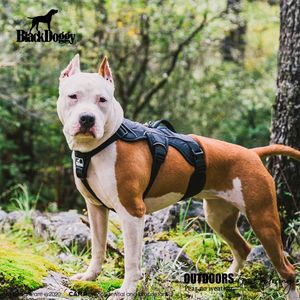 Pettorina Professionale Premium in PVC per Cani, Regolabile, per Addestramento Notturno all'Aperto, con Cinghia Visibile sul Petto - Product Image 6
