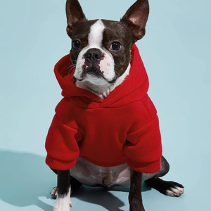 Printed <b>Dog</b> <b>Hoodie</b> Stylish Pet Clothes Warm Casual <b>Dog</b> Wear - Product Image 1