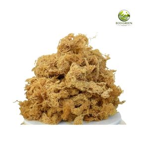 สาหร่ายทะเลไอริชธรรมชาติ สาหร่ายแห้งปรุงรส Eucheuma Cottonii Nori วัตถุดิบเกรดส่งออก บรรจุภัณฑ์ขนาดใหญ่ อายุการเก็บรักษา 12 เดือน - Product Image 4