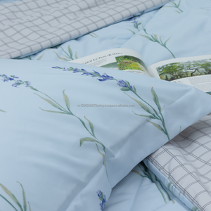 2024 Calisto CT220032 Ensemble de couette en microfibre Polyester doux de haute qualité Style moderne Tailles disponibles pour un usage domestique Full Twin - Product Image 4